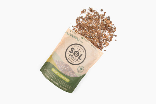 Soil (2Qt) Houseplant Chunky Mix (Aroid/Tropical Mix): 2 Quarts