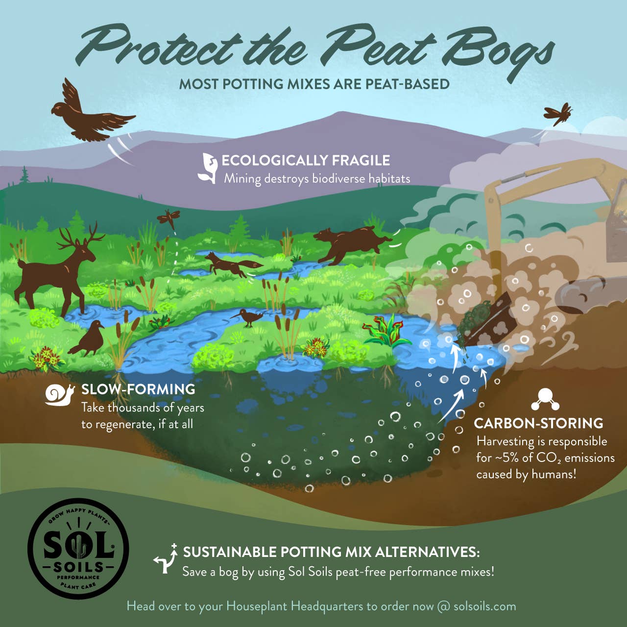 Soil (2Qt) Houseplant Chunky Mix (Aroid/Tropical Mix): 2 Quarts