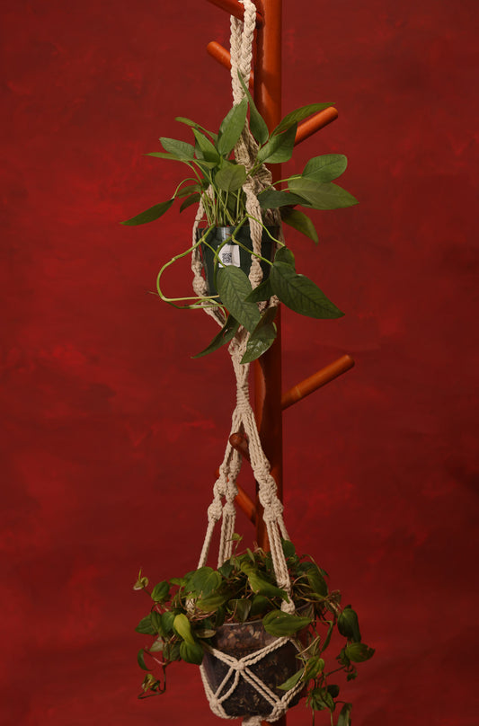 Double Macramé Plant Hanger