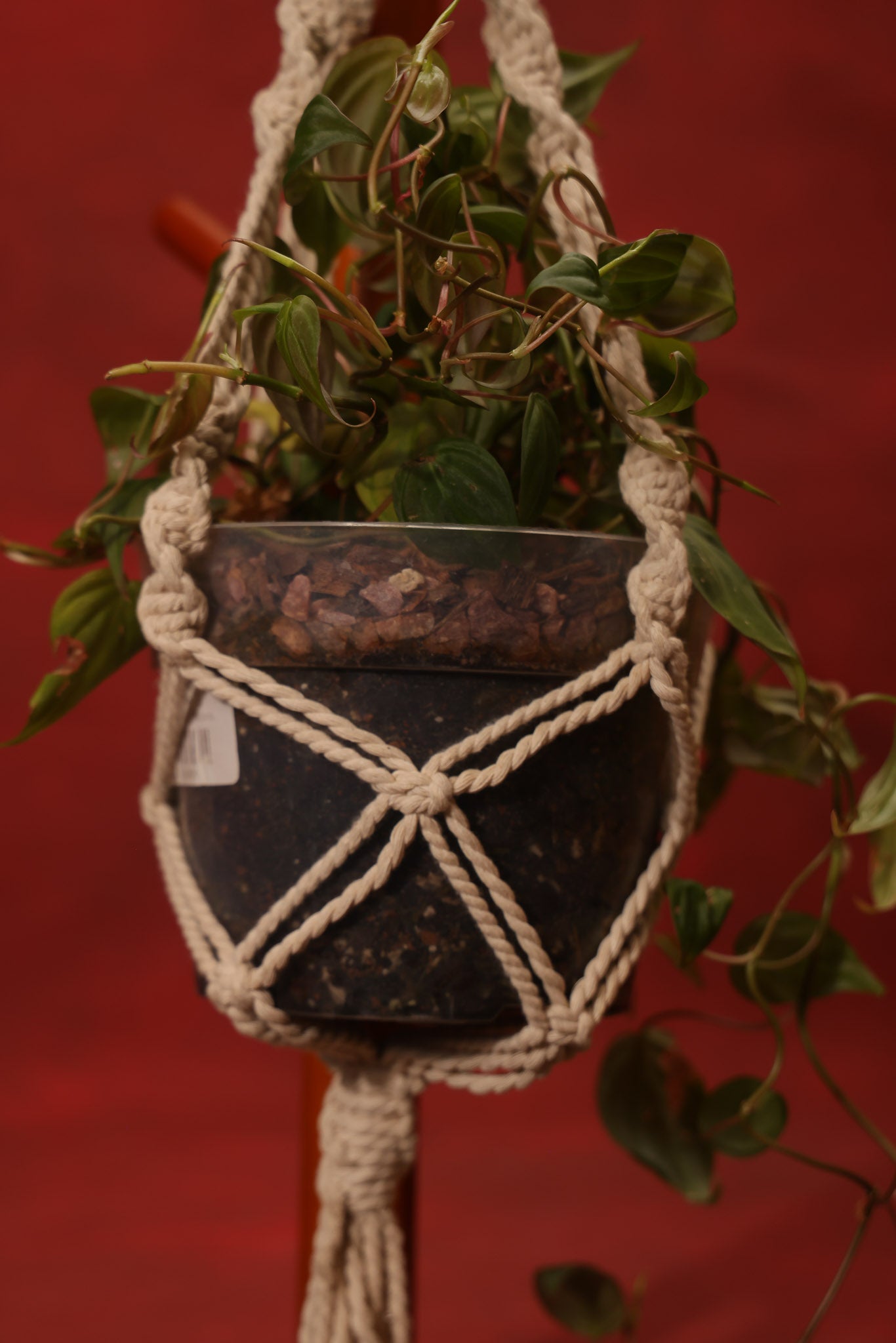 Double Macramé Plant Hanger