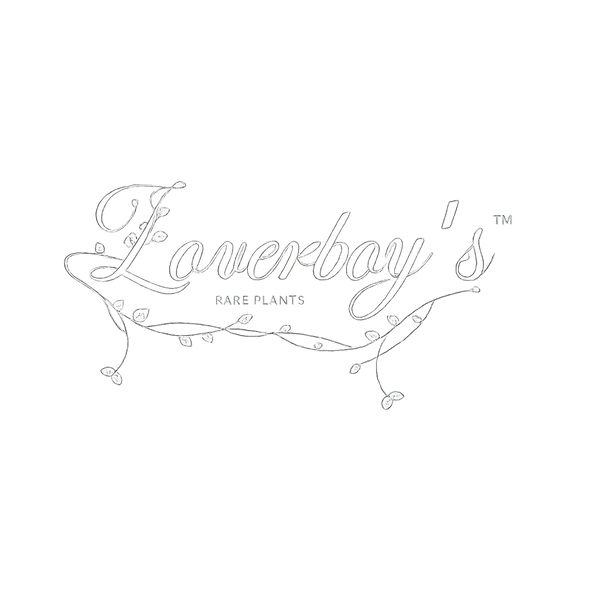 Loverboy’s Rare Botanicals LLC