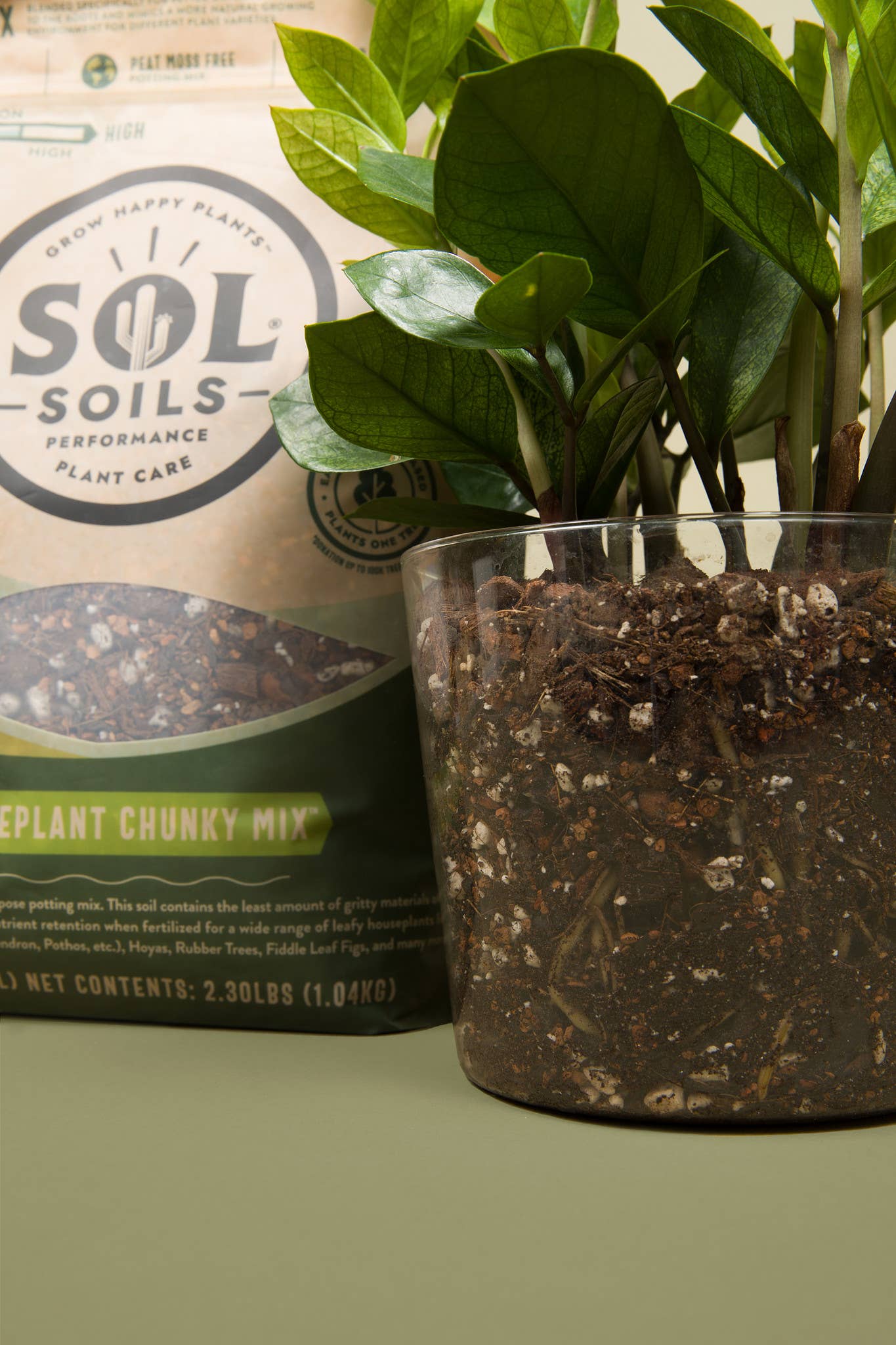 Soil (2Qt) Houseplant Chunky Mix (Aroid/Tropical Mix): 2 Quarts