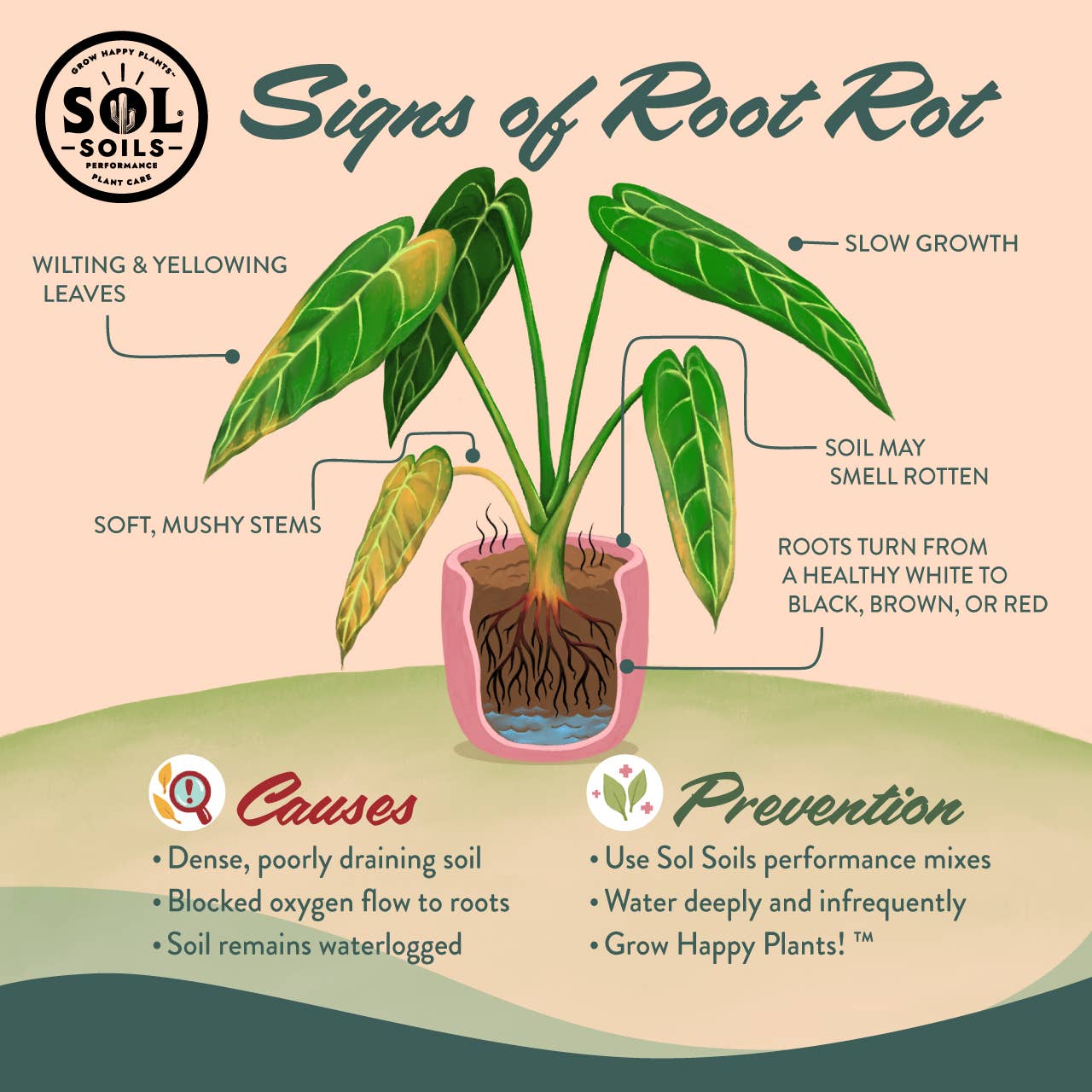 Soil (2Qt) Houseplant Chunky Mix (Aroid/Tropical Mix): 2 Quarts